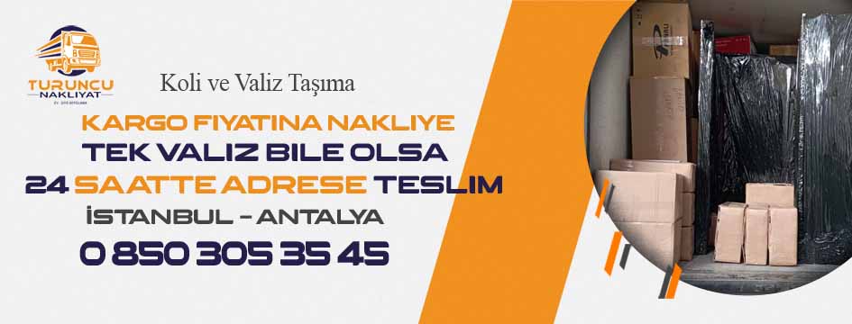 Koli ve Valiz Taşıma